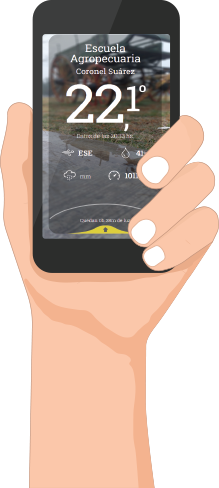 App en el celular